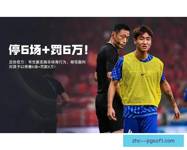 中国足协重拳出击开出反赌扫黑重磅罚单多个高层涉案人员受罚